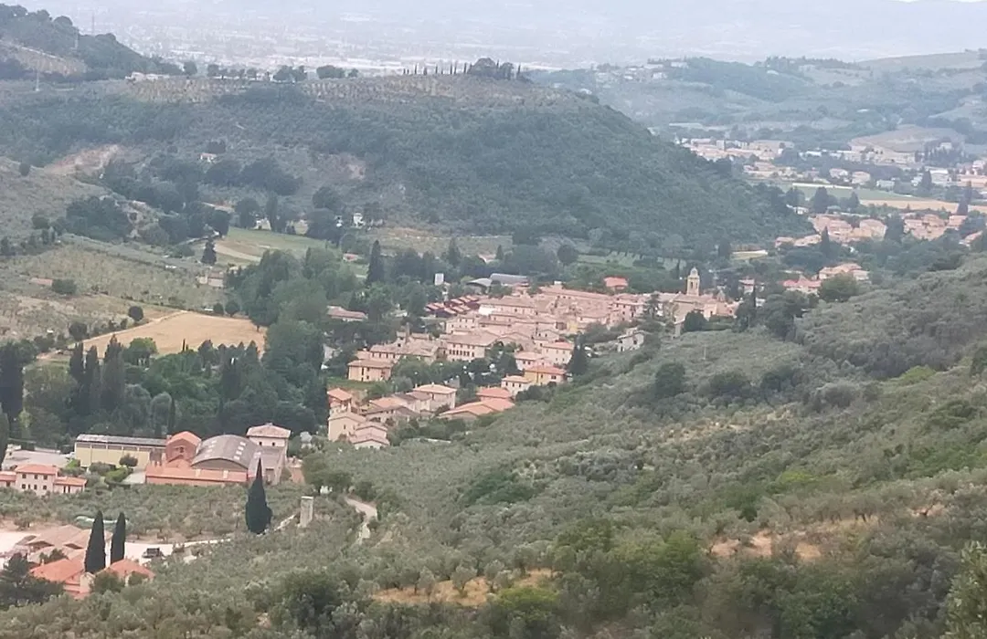 traivicolidifoligno-1