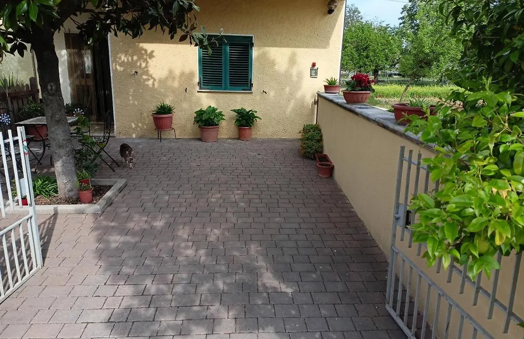Da Angela - Camere Con Bagno Privato A Foligno Vicino Al Centro-1