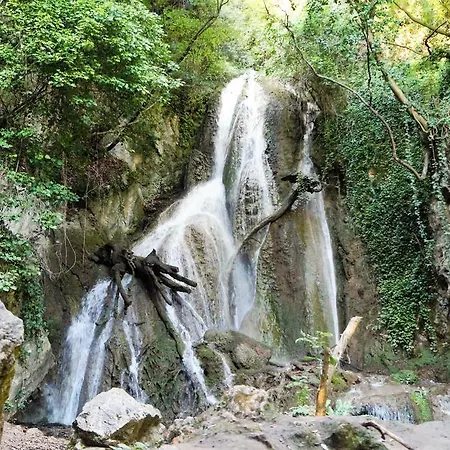 B&B Il Sentiero nel Bosco-3